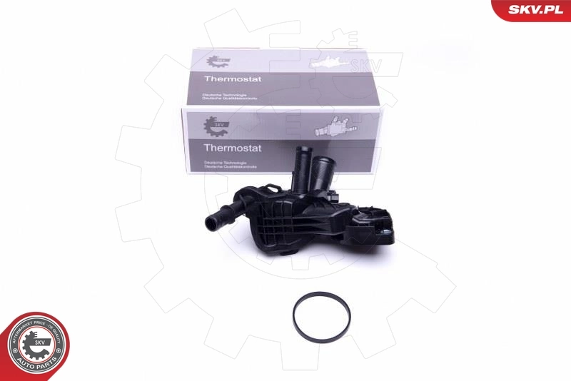 Thermostat, coolant
